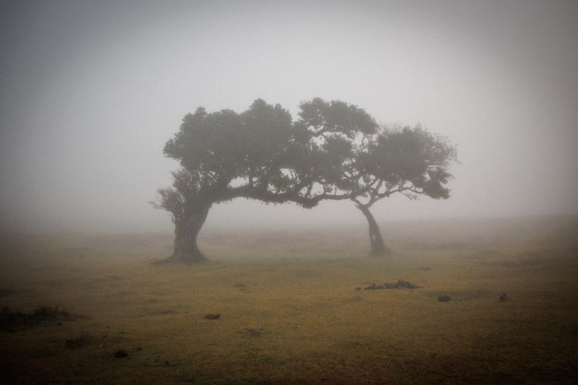  - Bánhidi Ágnes Rebeka - Elt�n� horizont - fot�