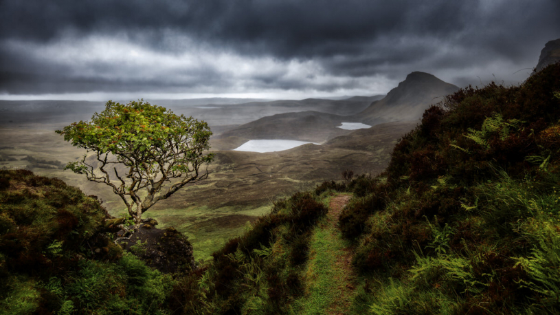  - Szab Zsolt - Lonely Tree - fot